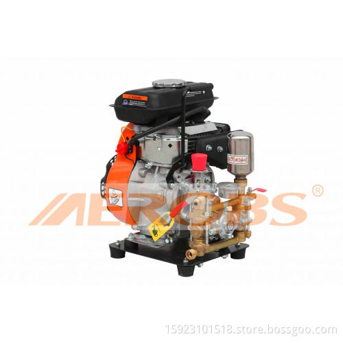 WP10S -Water pump